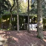 - Dovolená