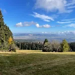 - Dovolená