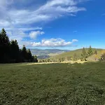 - Dovolená *