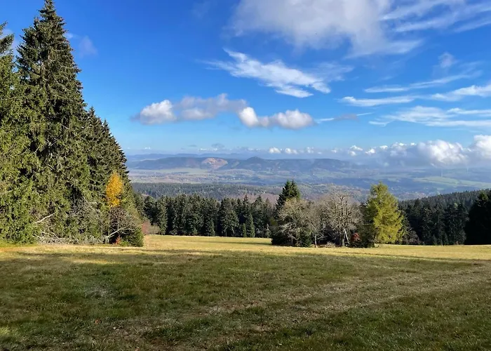 - Dovolena